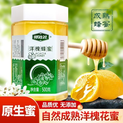 蜂连社洋槐蜂蜜500g自然成熟散装厂家供货槐花蜜团购批发散装蜂蜜图2