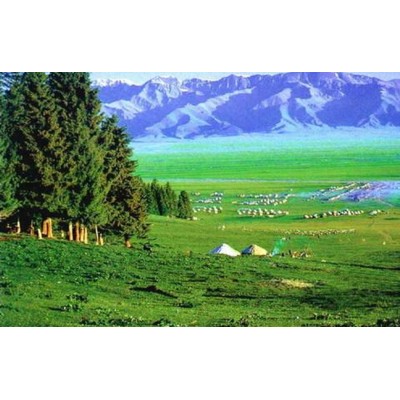 阿尔泰山A'er Tai Mountain图3