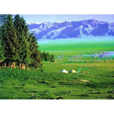 阿尔泰山A'er Tai Mountain图6