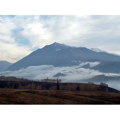 阿尔泰山A'er Tai Mountain图5