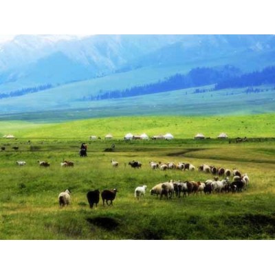 那拉提旅游风景区Nalati Scenic Area图5