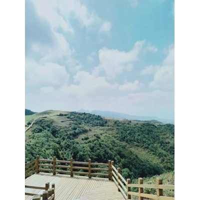 贵州乌蒙大草原旅游开发投资有限公司图5