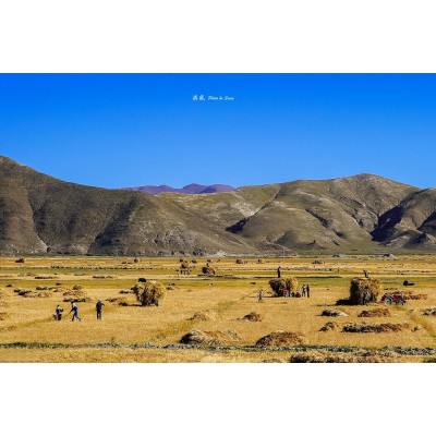 珠峰大本营Mount Qomolangma Base Camp图3
