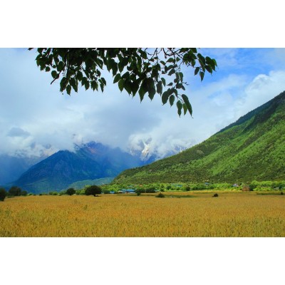 雅鲁藏布大峡谷Yarlung Zangbo Grand Canyon图5