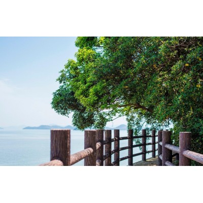 横山岛Hengshan Island图5