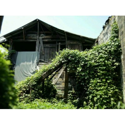 前童古镇Qiantong Ancient Town图2
