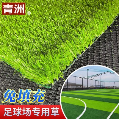 人造草坪 专拍连接多少金额拍多少 02图4