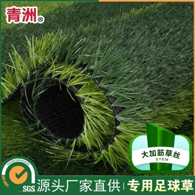 青洲 高尔夫练习器 亚马逊室内高尔夫草坪器golf塑胶迷你推杆训练图5
