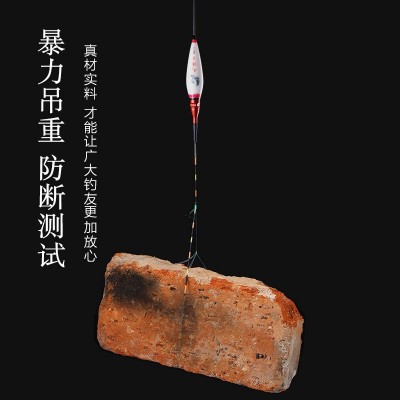 电子漂 醒目夜光漂 电子鱼漂鲫鱼水库漂渔具夜钓浮漂批发图4