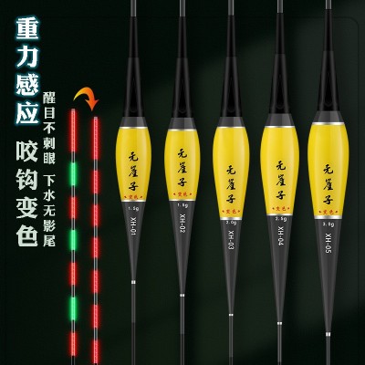咬钩变色大物电子漂微感应夜钓浮漂鲤鱼漂超亮智能报警夜光漂渔具图2