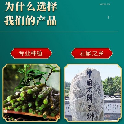源产地直供批发正宗霍山米斛龙头凤尾枫斗 散称五年大棚米斛代发图3