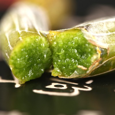 霍山铁皮石斛鲜条新鲜特级石斛枫斗鲜条礼盒食用现摘现发干条批发图4