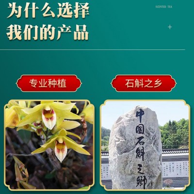 霍山源产地直供铁皮石斛花 仿野生基地种植散称石斛干花批发代发图5