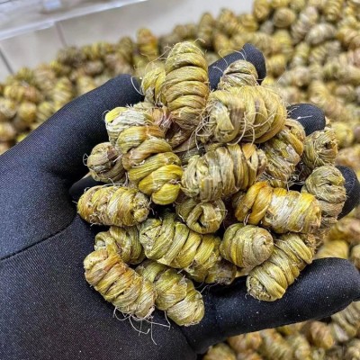 源头新货云南铁皮石斛枫斗批发胶质好化渣无渣一件代发可代打粉图4