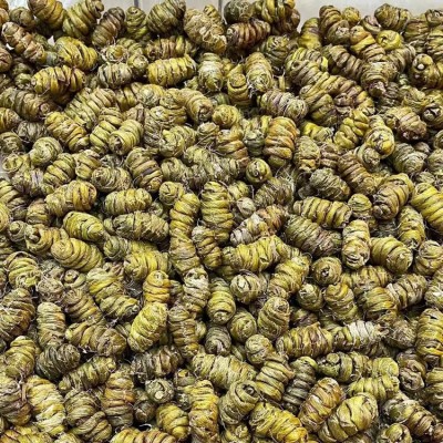 源头新货云南铁皮石斛枫斗批发胶质好化渣无渣一件代发可代打粉图3