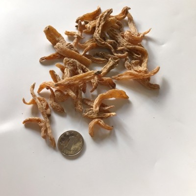 云南昭通天麻可代打天麻细粉 红天麻可代切片 深山老林小草坝天麻图3