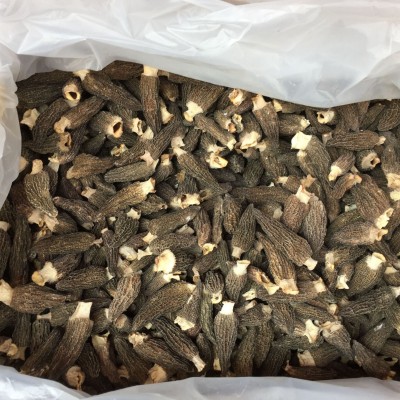 云南高原特产羊肚菌干货 剪柄羊肚菌 手工采摘 产地批发 量大图5