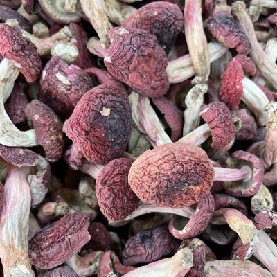 云南红菇菌 深山老林菌红菇干货 食用真月子红菇500克礼盒装 新货图5