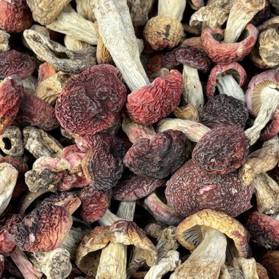 云南红菇菌 深山老林菌红菇干货 食用真月子红菇500克礼盒装 新货图3