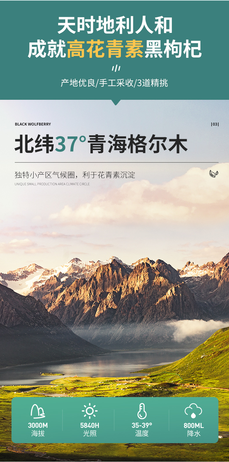 【详情页】2021黑枸杞250g-1_05