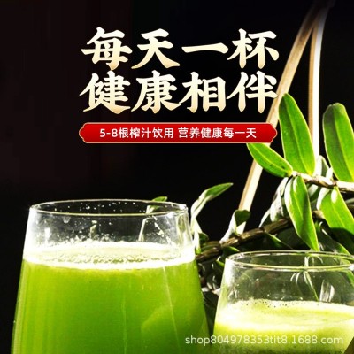 现采现发原产地霍山铁皮石斛新鲜条批发非石斛粉石斛枫斗图5