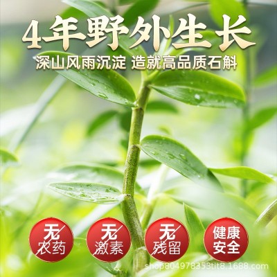 现采现发原产地霍山铁皮石斛新鲜条批发非石斛粉石斛枫斗图4