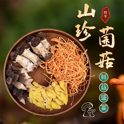 菌汤煲组合新鲜食用菌姬松茸黑皮鸡枞榆黄菇虫草花鸡油鲜菌汤包