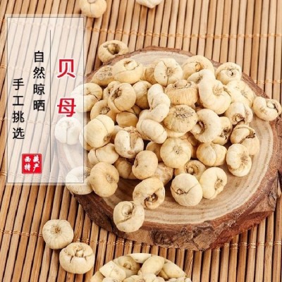 西藏那曲野生贝母 煲汤用料中药食材无硫熏川贝母粉 源头现货批发