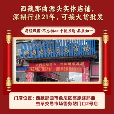 2023那曲虫草高海拔好品质头期冬虫夏草特产送礼批发西藏冬虫夏草图3