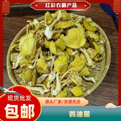 云南特产鸡油菌 榆黄菇人工鸡油黄黄丝菌干货批发图2