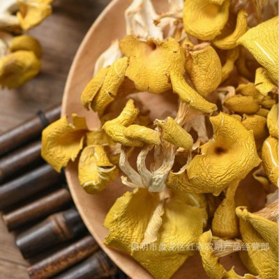 云南特产鸡油菌 榆黄菇人工鸡油黄黄丝菌干货批发图4