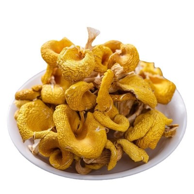 云南特产鸡油菌 榆黄菇人工鸡油黄黄丝菌干货批发图5