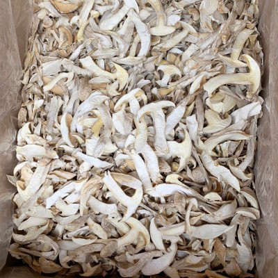 云南特产白松茸干货食用雪山松茸松茸干片煲汤食材批发图4