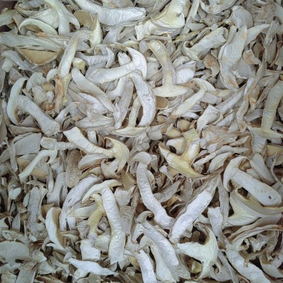 云南特产白松茸干货食用雪山松茸松茸干片煲汤食材批发图3