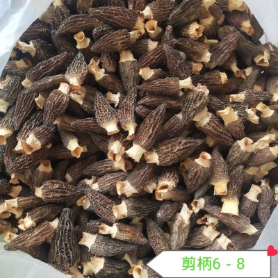 云南羊肚菌干货剪脚带柄羊肚菌散装批发图4