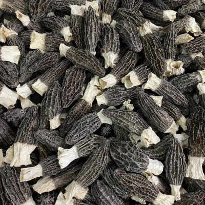高山云南羊肚菌干货 剪柄羊肚菌足干货食用煲汤滋补菌类 一件代发图4