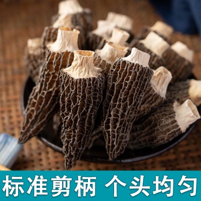 云南头茬大个头羊肚菌菇干货大号羊剪脚肚菌蘑菇250g/袋煲汤食材图3