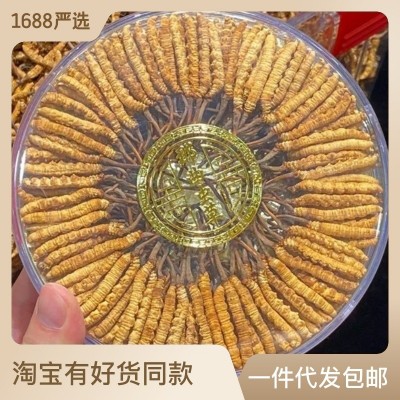 顾源堂 特惠3000条规格冻干草 一手货源冬虫夏草 足干饱满 无断草