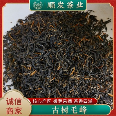 大叶种茶叶高山日照充足云雾毛峰茶叶茶浓香型散装茶毛尖茶滇红茶图2