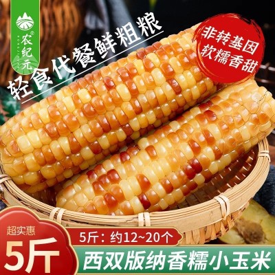 农纪元5斤香糯小玉米棒西双版纳新鲜即食真空装五谷杂粮代餐批发