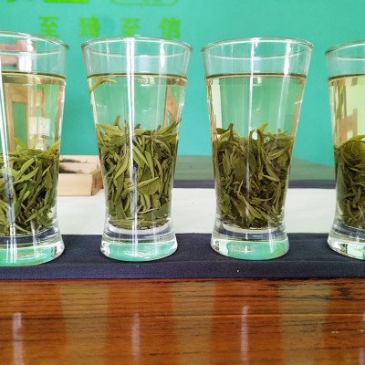 豫信信阳毛尖新茶雨前毛尖茶纯手工散装日照足一芽一叶