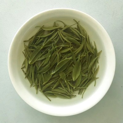 雨前茶信阳毛尖茶叶 新品淡香型绿茶 信阳毛尖2023新茶一件代发图4