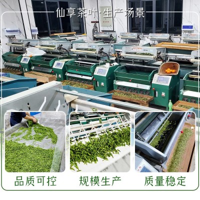 2023新茶上市明前浓豆香龙井茶叶浙江杭州厂家雨前口粮茶绿茶批发图5
