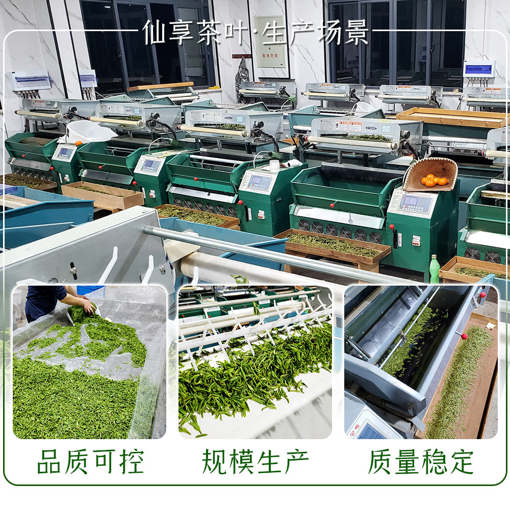 仙享茶叶·生产场景.jpg
