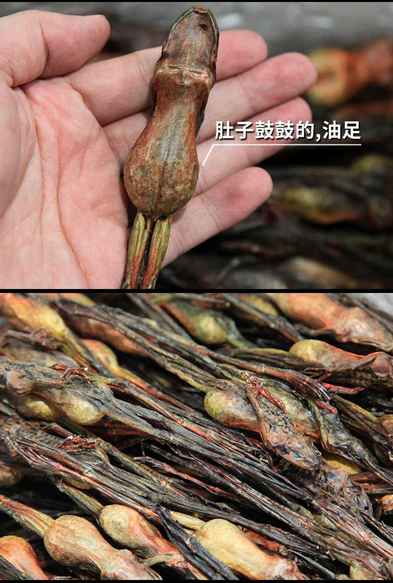 36雪蛤干新详情02_04.jpg