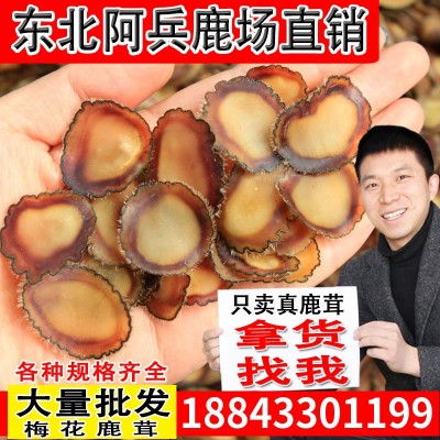 【吉林鹿场直销】鹿茸片批发东北足干鹿茸全腊片鹿茸血片男性图3