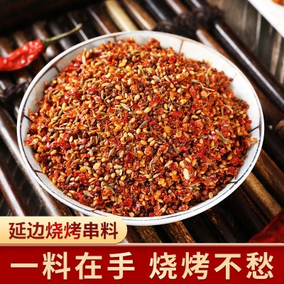 延边烧烤料 香辣味烤肉蘸料 朝鲜族风味串料 烧烤调料 500图5