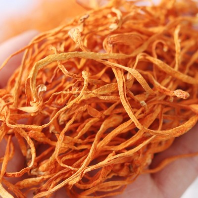 【一件代发】源野虫草花68克虫草干菌菇干货批发东北特产 新货菌包图2