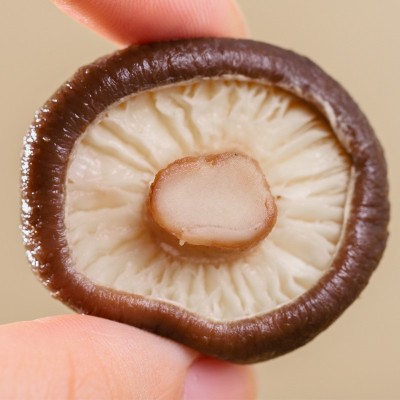 【一件代发】源野干香菇小包装剪脚蘑菇香菇干货批发菌菇 特产新货图4