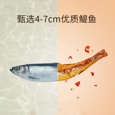 厂家直销劲仔小鱼仔袋装湖南香辣小鱼休闲零食批发麻辣小鱼干图3